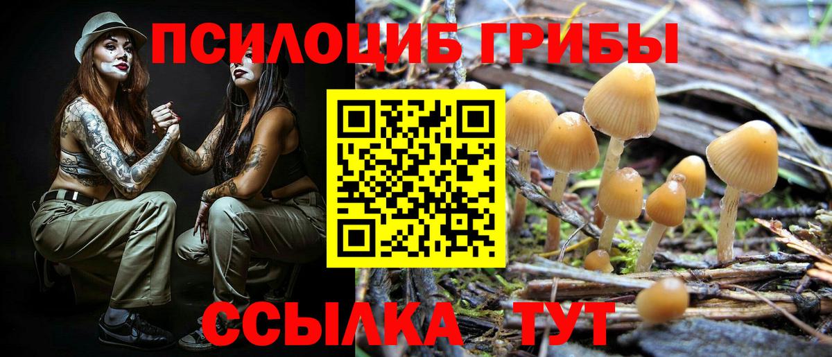 Татарск  Галлюциногенные грибы Psilocybe  Вход с VPN  Псилоцибиновые грибы прущие грибы 